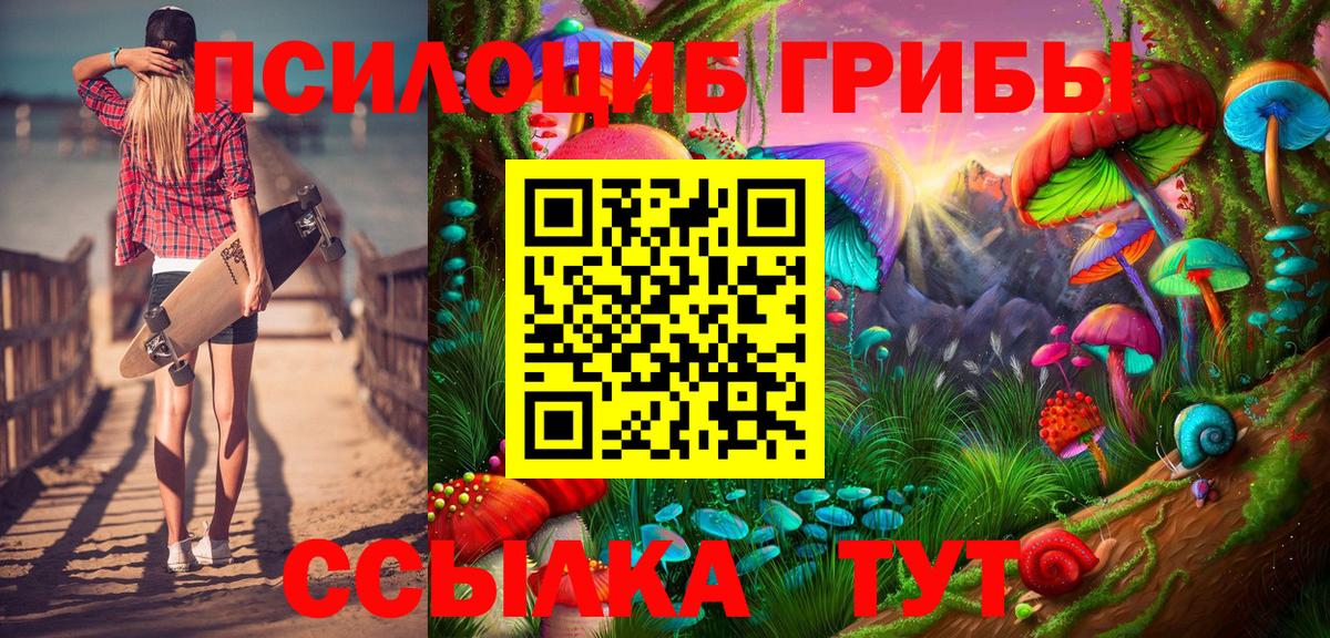 Галлюциногенные грибы Cubensis Луга